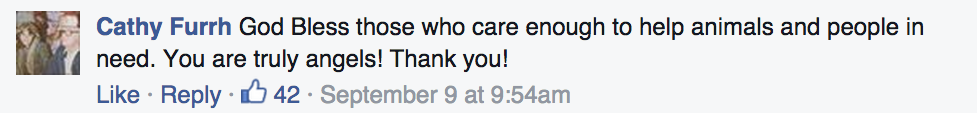 Screen-Shot-2015-09-16-at-2.56.10-PM.png
