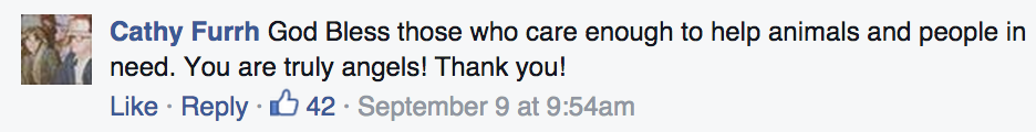 Screen-Shot-2015-09-16-at-2.56.41-PM.png