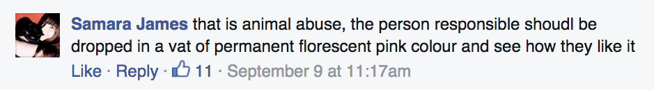 Screen-Shot-2015-09-16-at-2.57.23-PM.png
