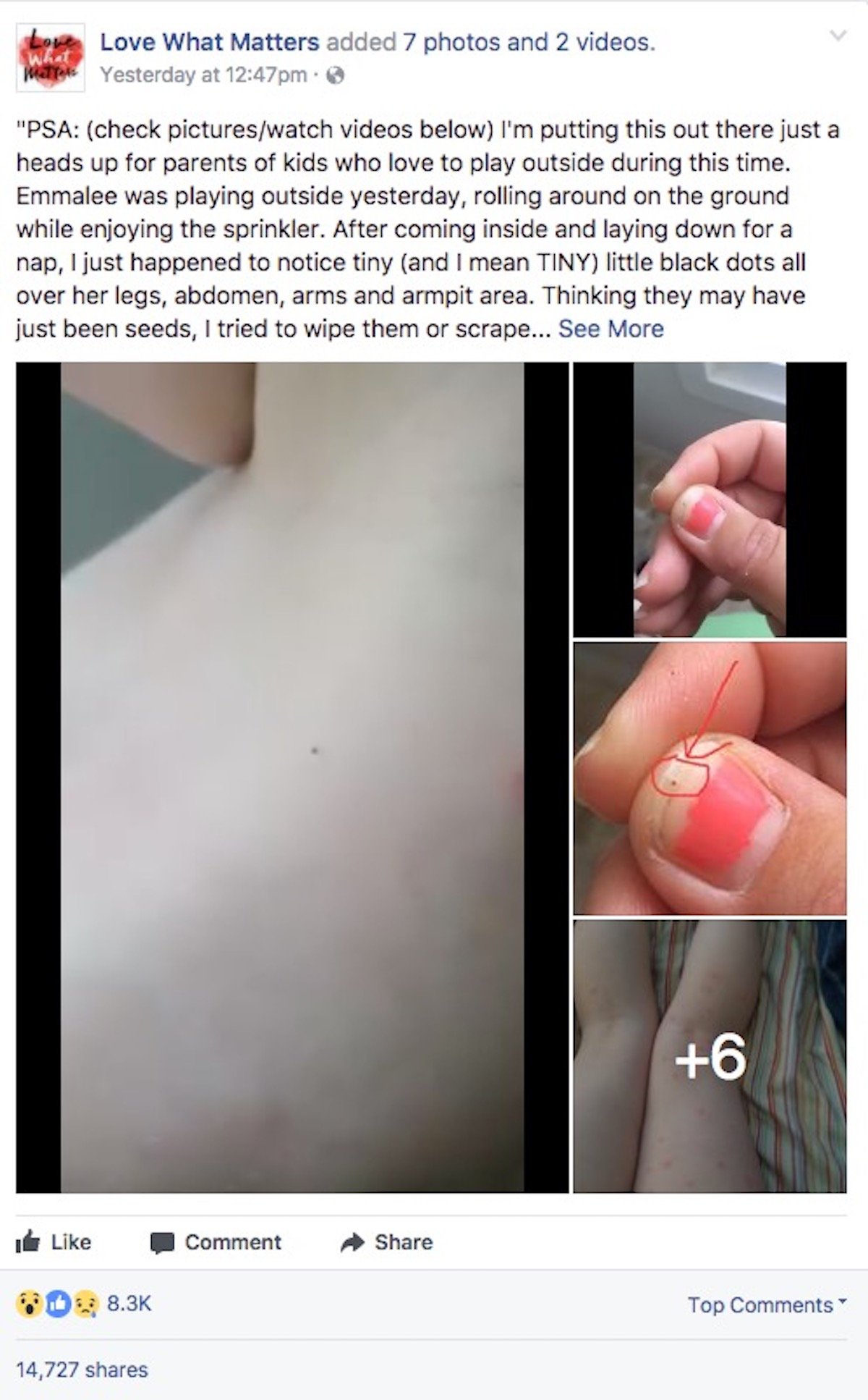 Screen-Shot-2017-07-07-at-1.53.37-PM.jpg Screen-Shot-2017-07-07-at-1.53.37-PM.jpg