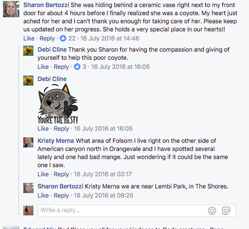 Screen-Shot-2017-07-18-at-1.00.52-PM.png