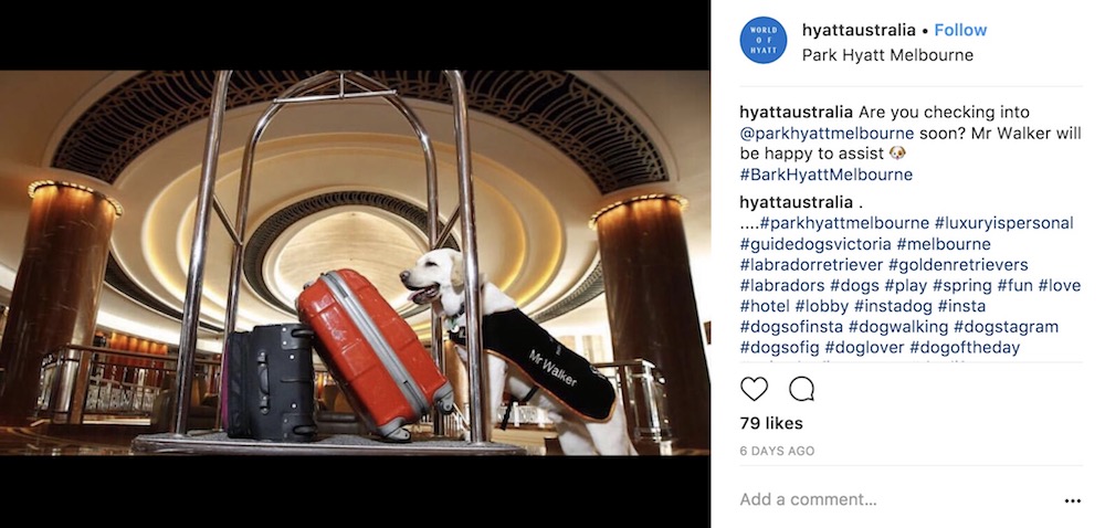 Screen-Shot-2017-10-11-at-10.04.08-AM.jpg