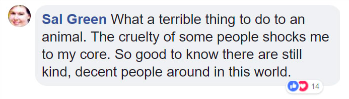 Screen-Shot-2018-06-06-at-1.20.55-PM.png