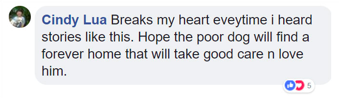 Screen-Shot-2018-06-06-at-1.21.24-PM.png