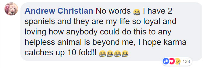 Screen-Shot-2018-06-06-at-1.28.23-PM.png