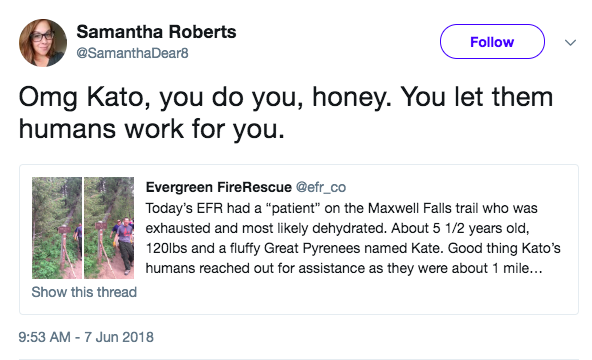 Screen-Shot-2018-06-08-at-10.33.30-AM.png