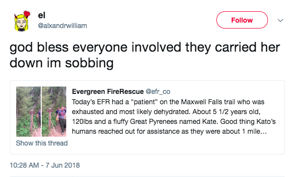 Screen-Shot-2018-06-08-at-10.34.28-AM.png