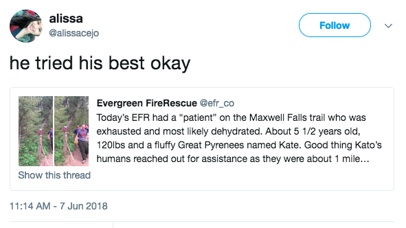 Screen-Shot-2018-06-08-at-10.37.42-AM.png
