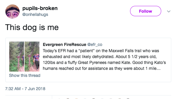 Screen-Shot-2018-06-08-at-10.39.29-AM.png