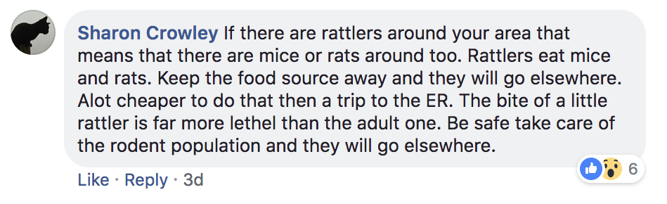 Screen-Shot-2018-06-28-at-12.39.41-PM.png