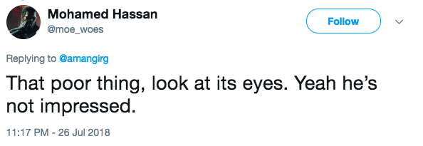 Screen-Shot-2018-08-01-at-1.25.54-PM.png