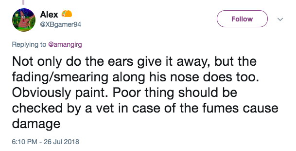 Screen-Shot-2018-08-01-at-1.26.44-PM.png
