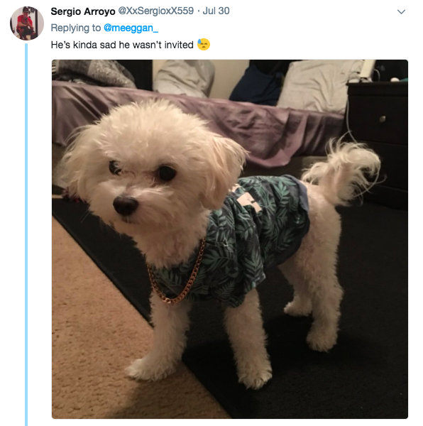 Screen-Shot-2018-08-08-at-1.14.47-PM.png