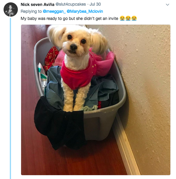 Screen-Shot-2018-08-08-at-1.15.20-PM.png