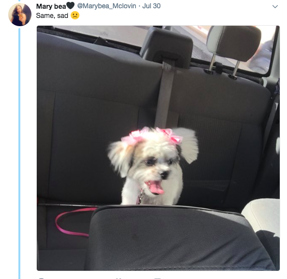 Screen-Shot-2018-08-08-at-1.18.03-PM.png