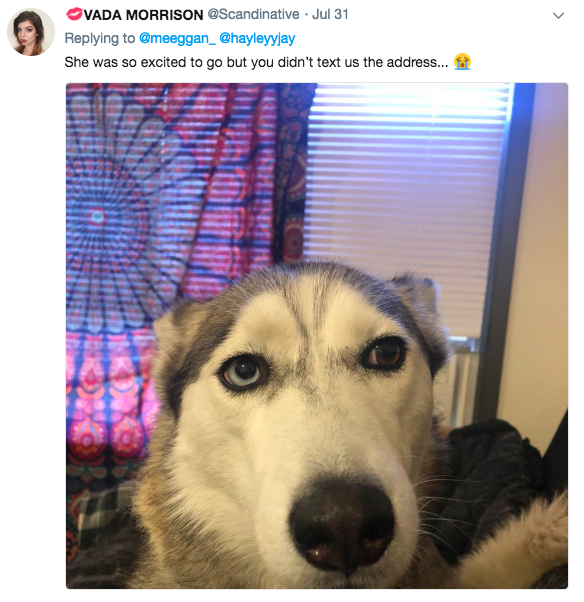 Screen-Shot-2018-08-08-at-1.24.32-PM.png