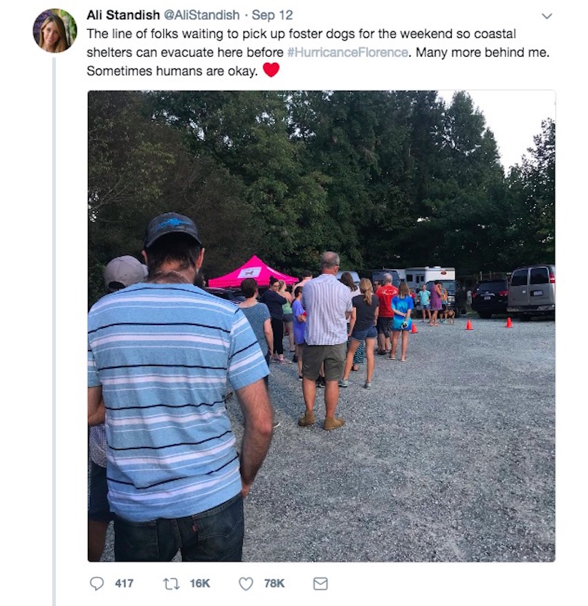 Screen-Shot-2018-09-14-at-4.58.41-PM.jpg