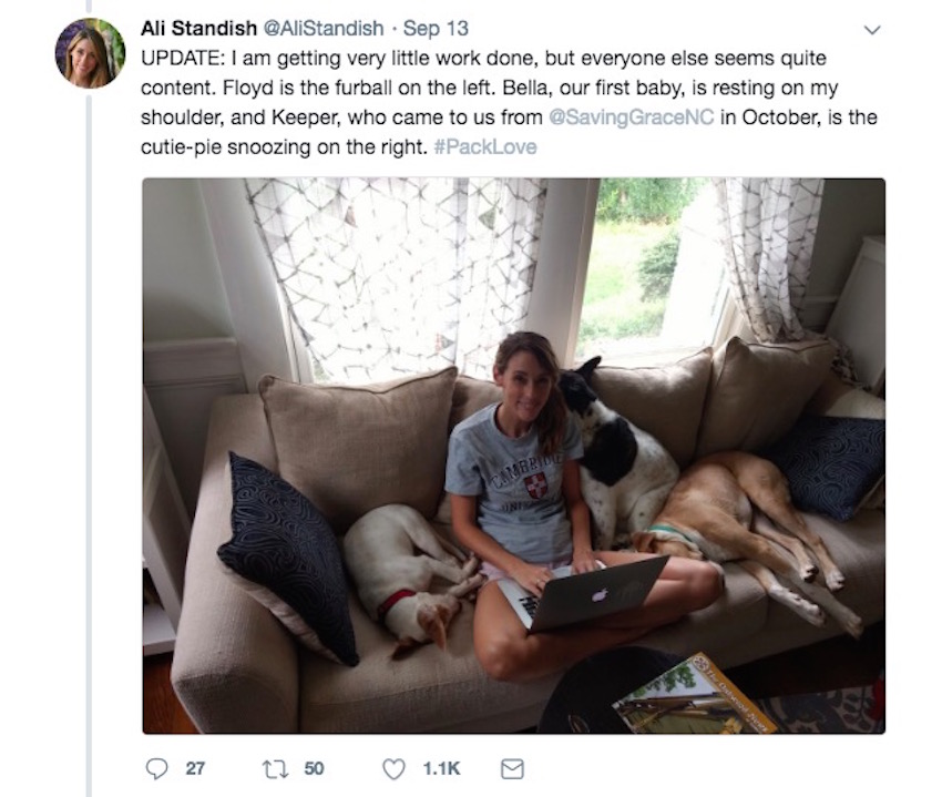 Screen-Shot-2018-09-14-at-4.59.24-PM.jpg