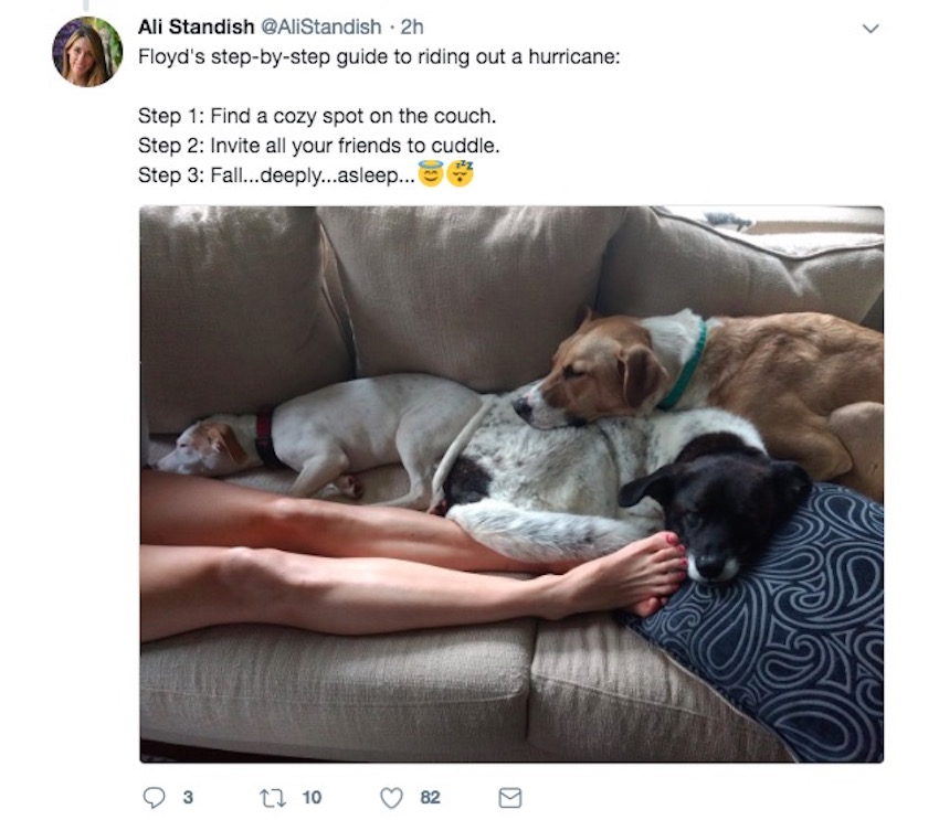 Screen-Shot-2018-09-14-at-4.59.48-PM.jpg
