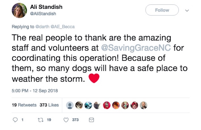 Screen-Shot-2018-09-14-at-5.05.39-PM.jpg