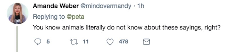 Screen-Shot-2018-12-05-at-2.09.26-PM.jpg