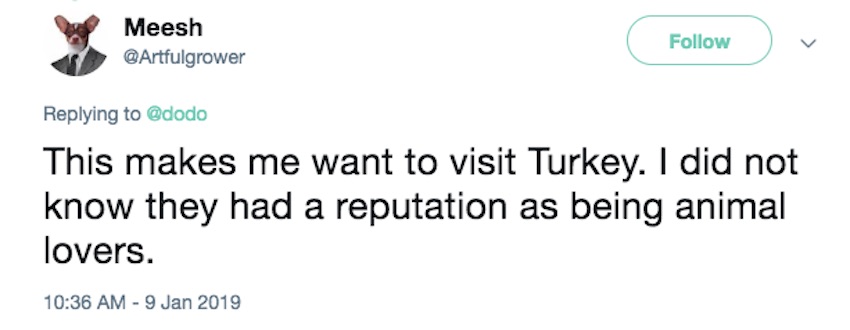 Screen-Shot-2019-01-13-at-6.02.04-PM.jpg