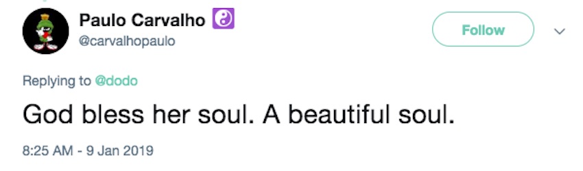 Screen-Shot-2019-01-13-at-6.03.05-PM.jpg