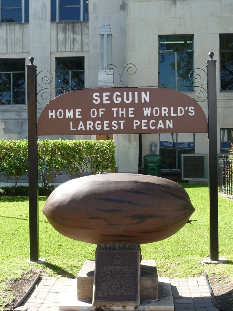 Seguin-Texas-Home-of-the-Worlds-Largest-Pecan-768x1024-1.jpg