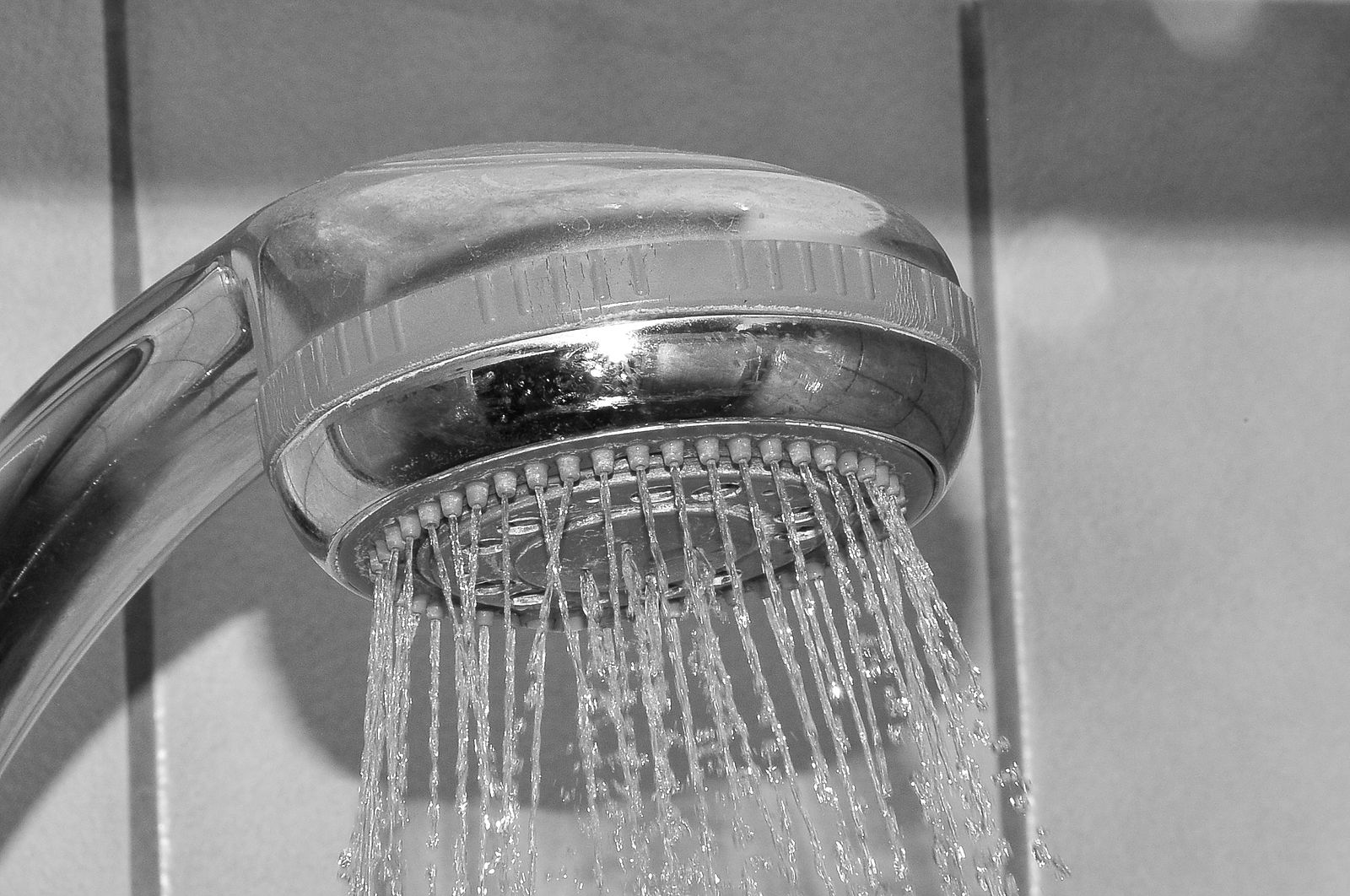 Shower_head.jpg