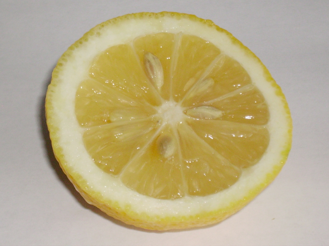 Slice_of_Lemon.jpg