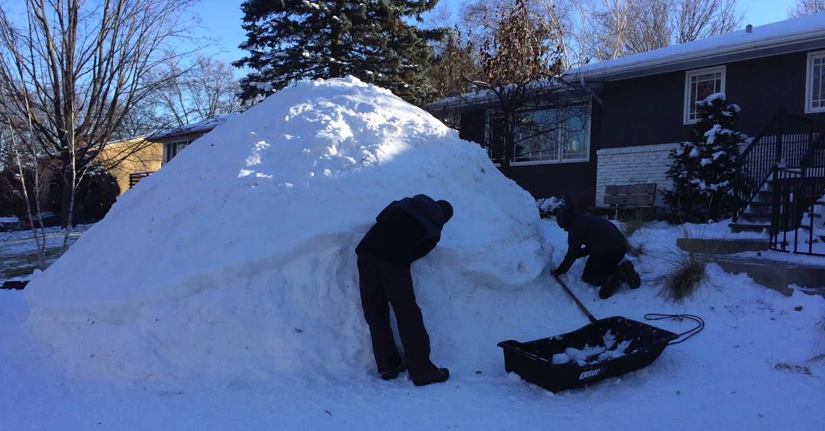 Snow Turtle