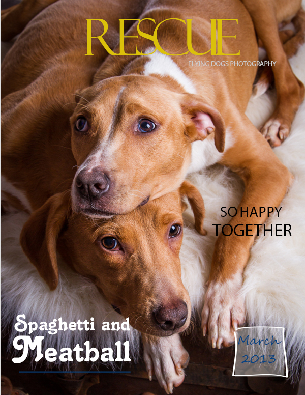 Spag-cover-1.jpg