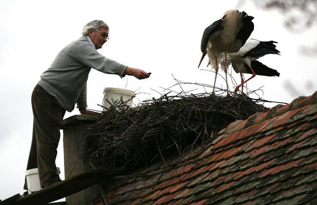 Stork-Story-Malena-and-Klapetan.jpg