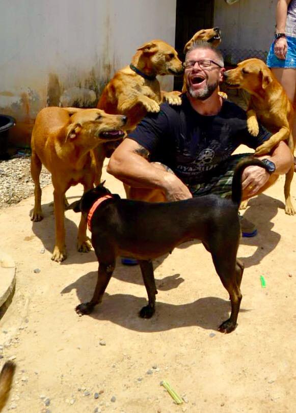 Thailand-Strays-4.jpg