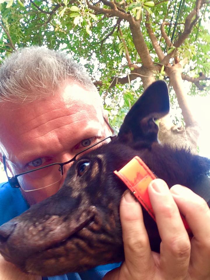 Thailand-Strays-8.jpg