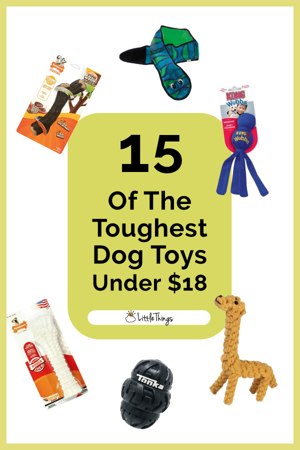 The-Toughest-Dog-Toys-Under-18-Pinterest-Image.jpg