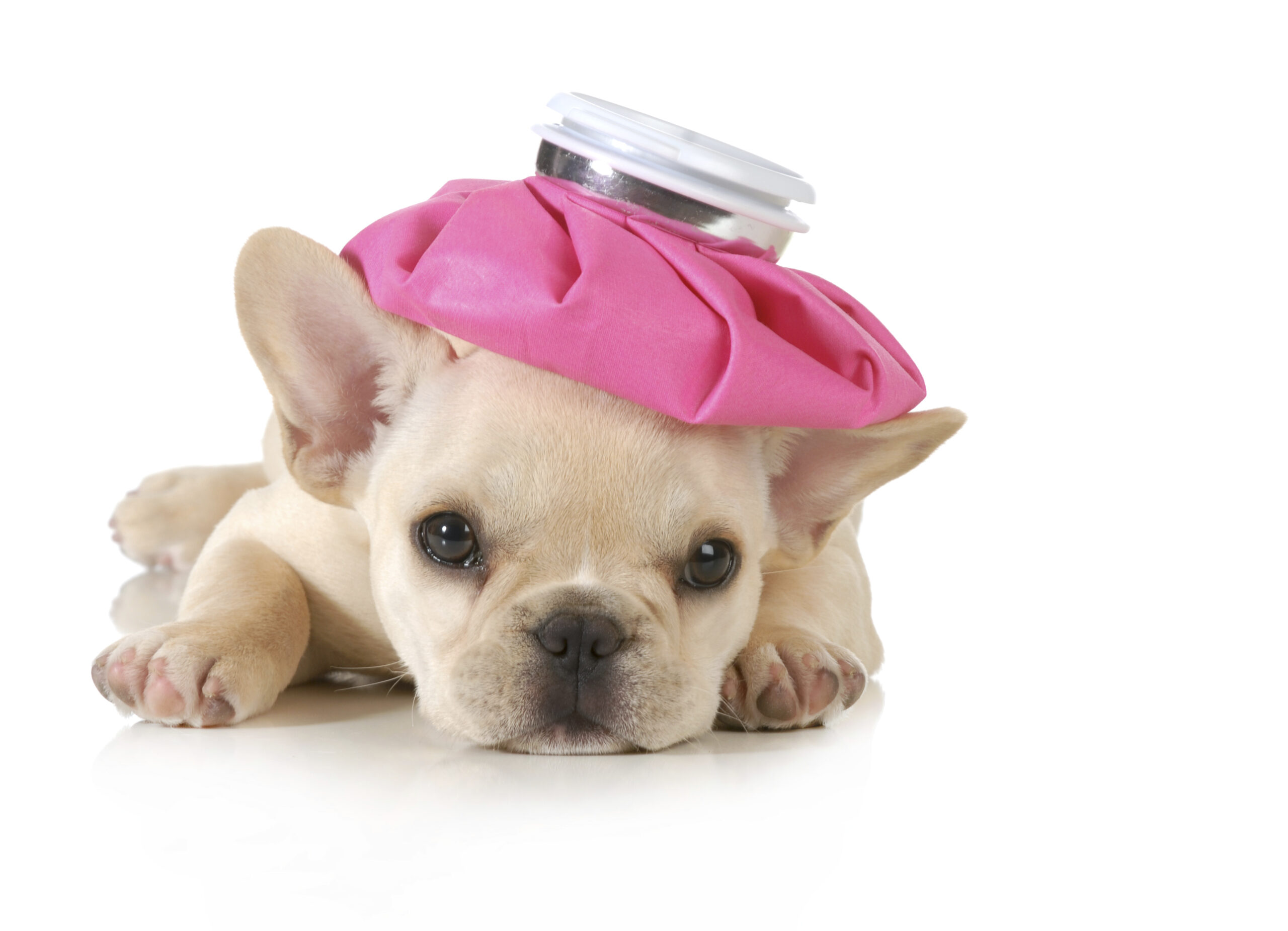 ThinkstockPhotos-180062876.jpg