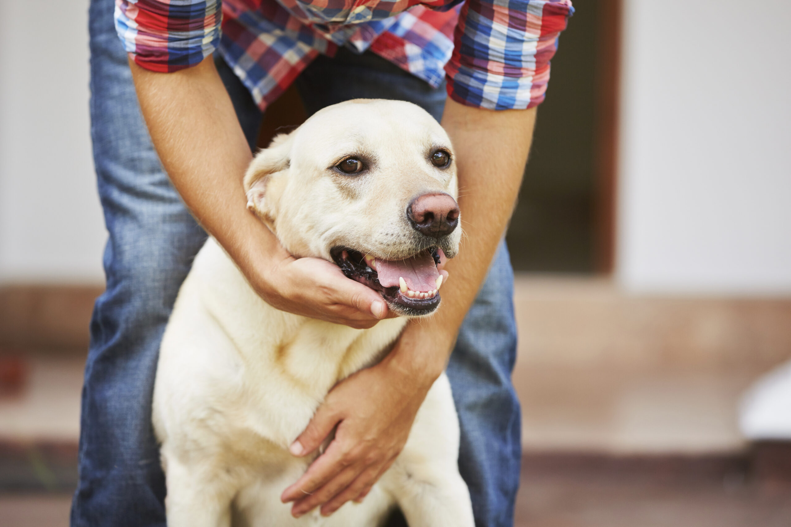 ThinkstockPhotos-185185797.jpg