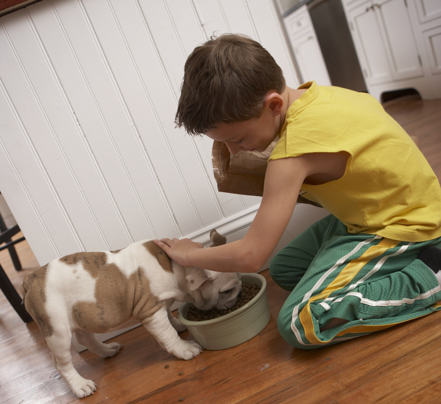 Boy (6-8) petting dog while he eats