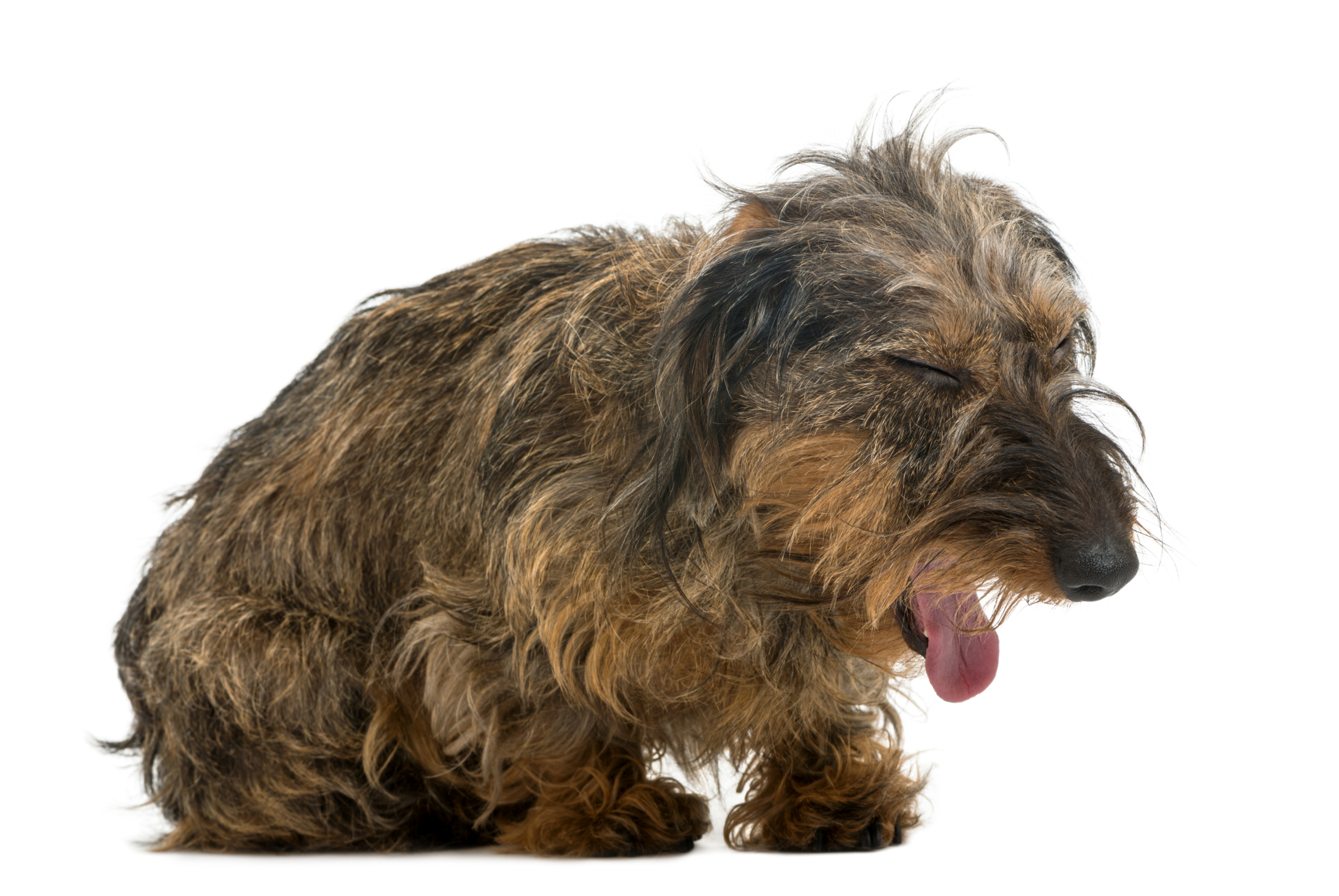 ThinkstockPhotos-450212307.jpg