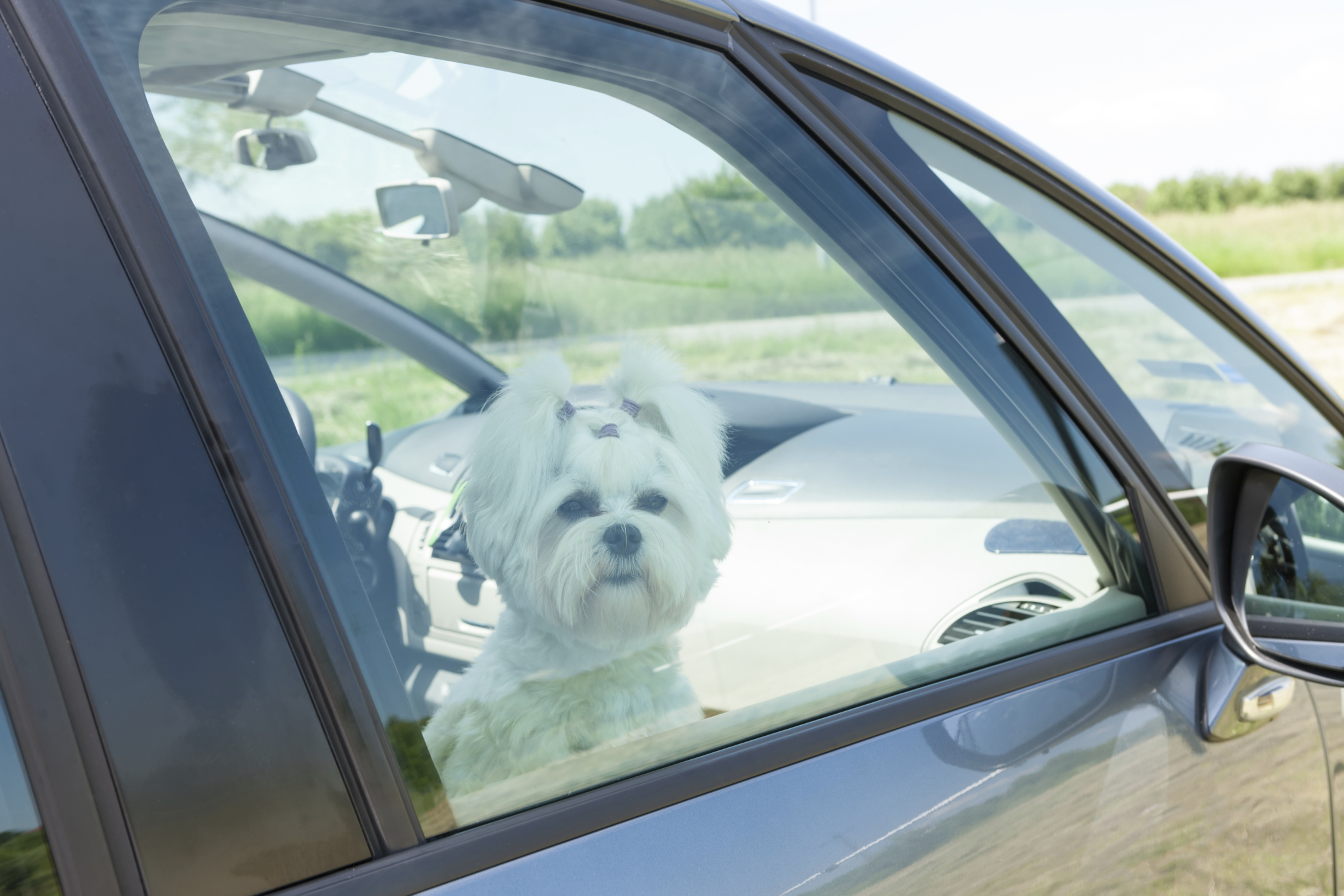 ThinkstockPhotos-465347263.jpg