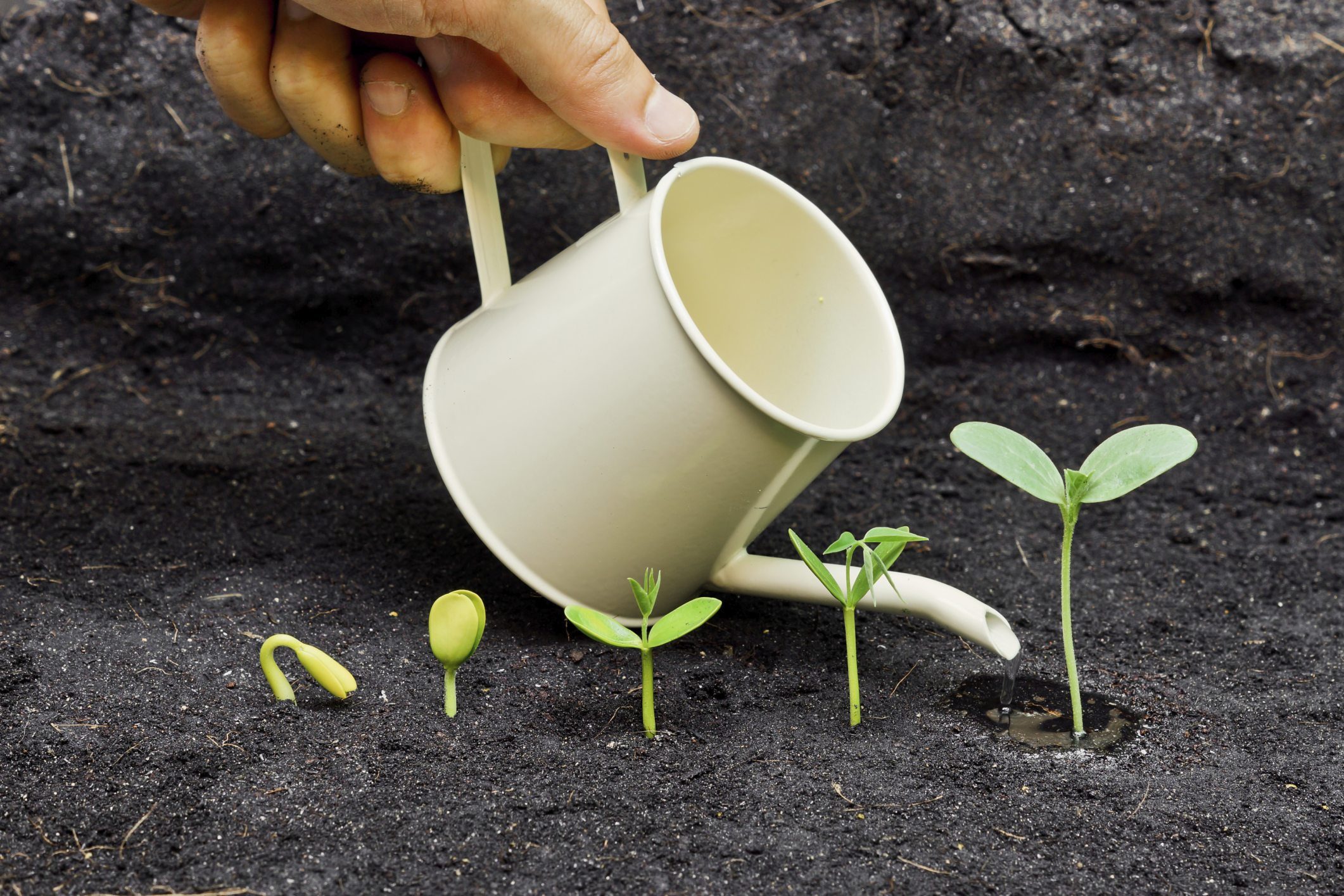 ThinkstockPhotos-487421353.jpg