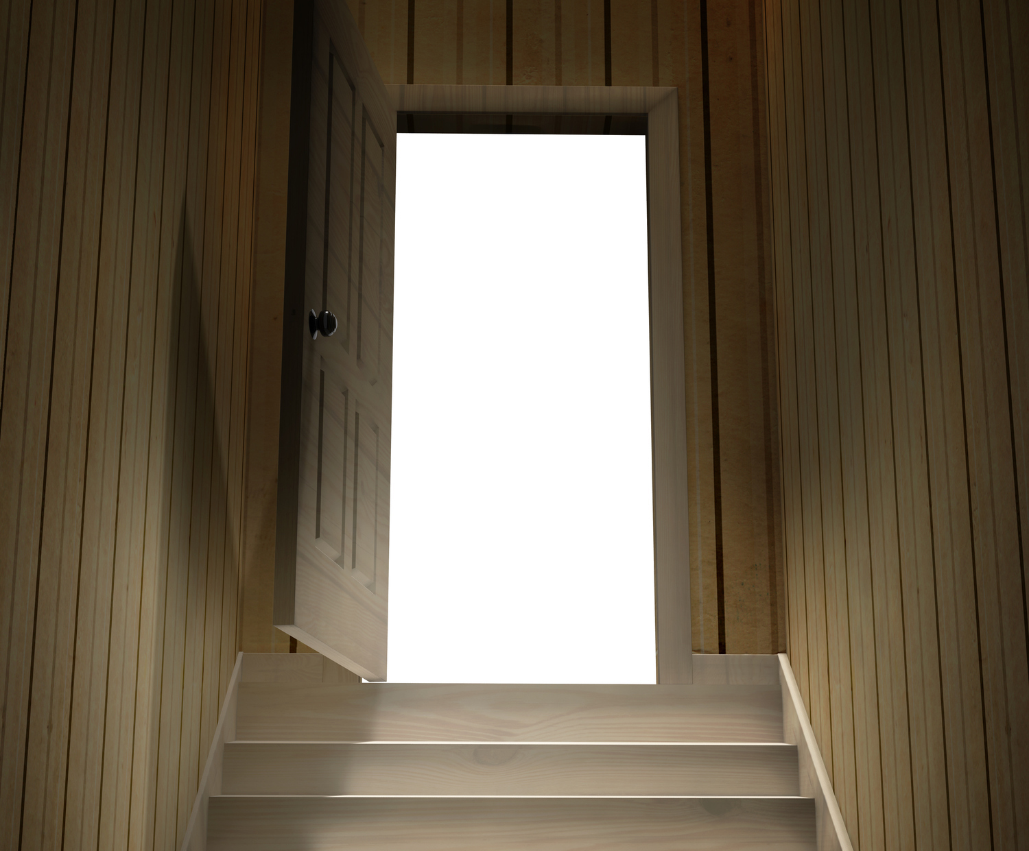 Steps leading from a dark basement to open the door