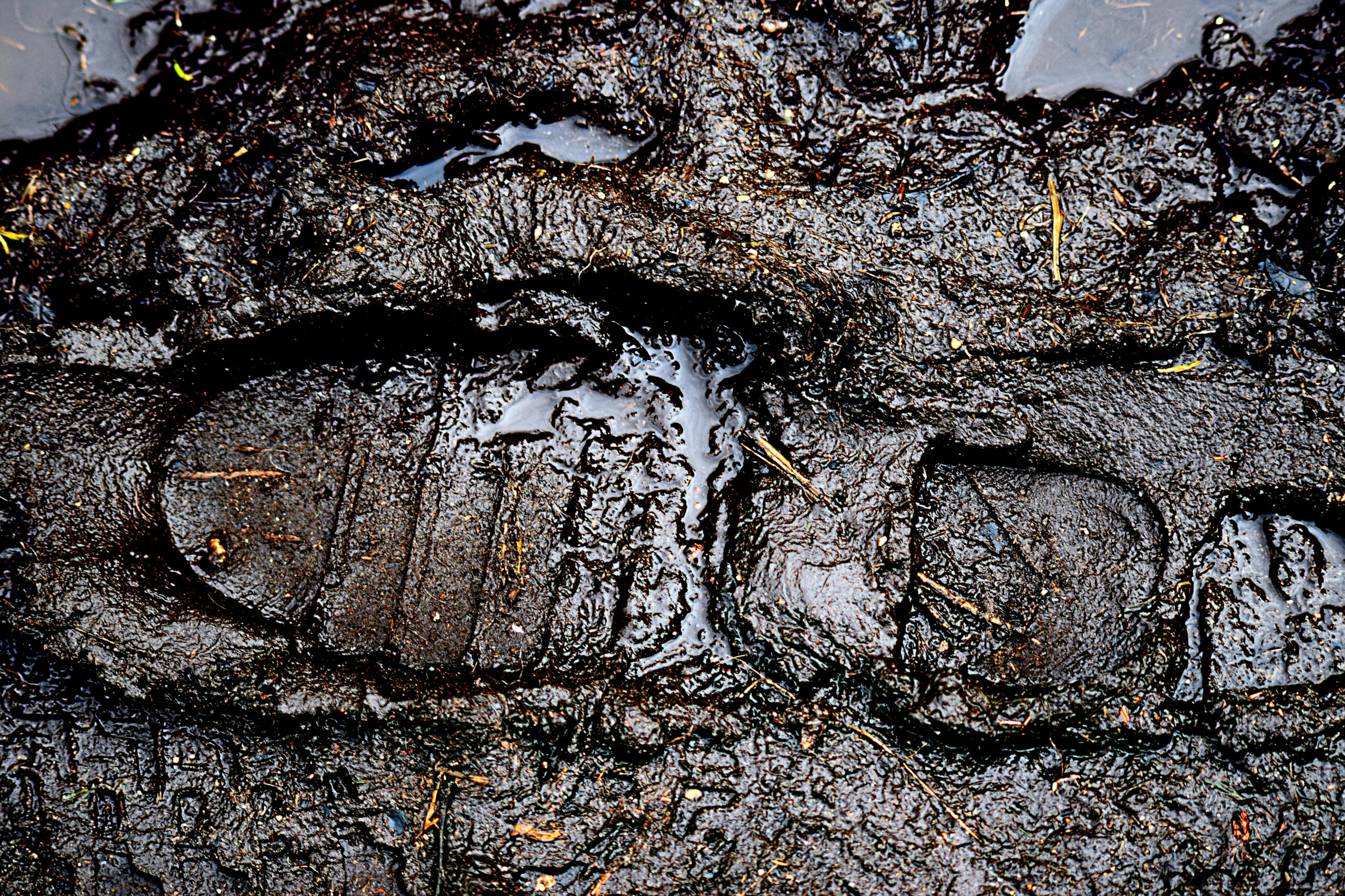 muddy footprint