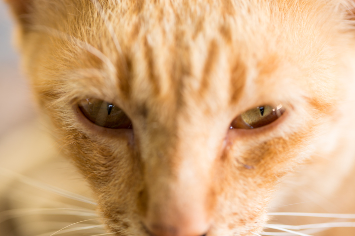 ThinkstockPhotos-536315609.jpg