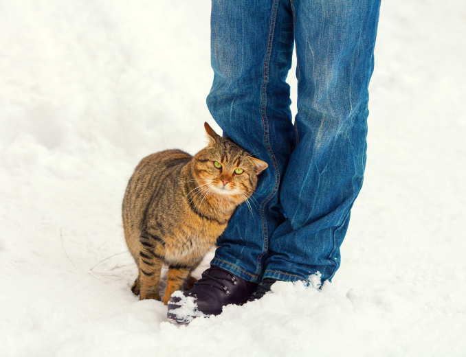ThinkstockPhotos-538951233.jpg