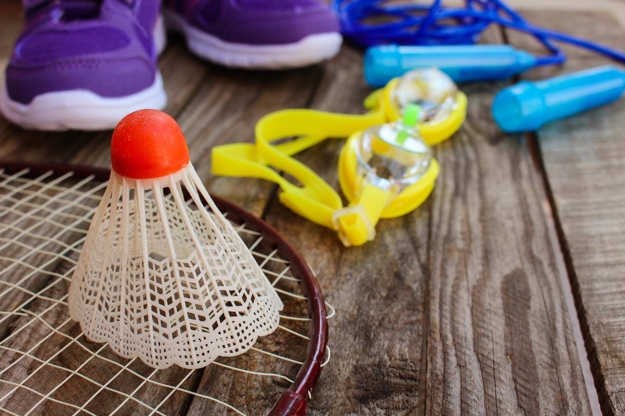 Sports equipment: birdie is on racket