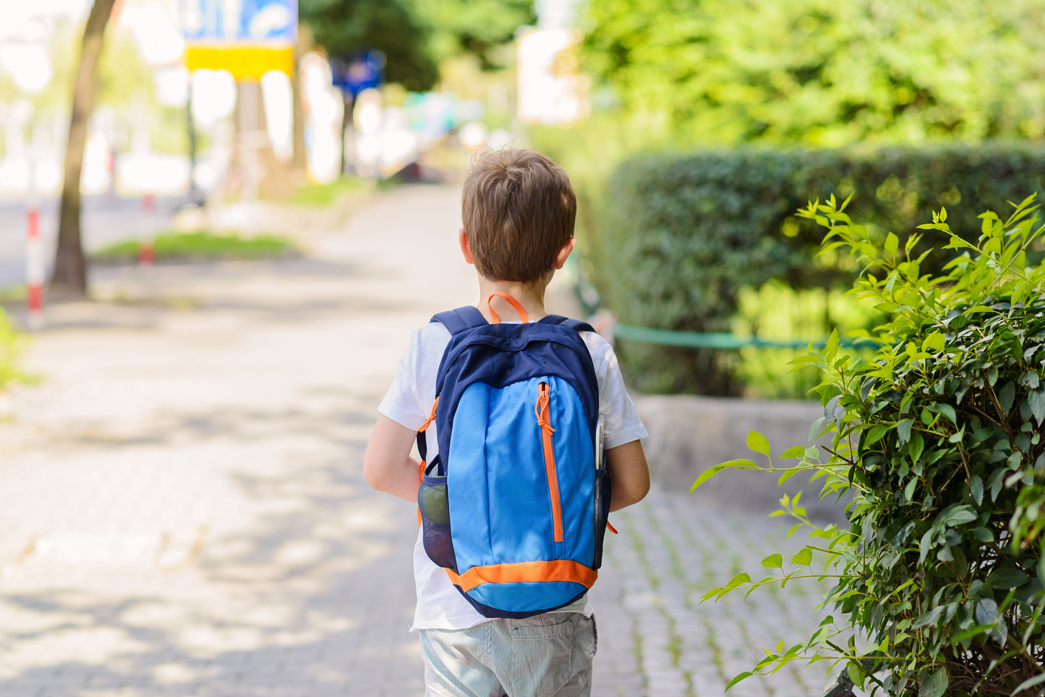 Little 7 years schoolboy going to school.