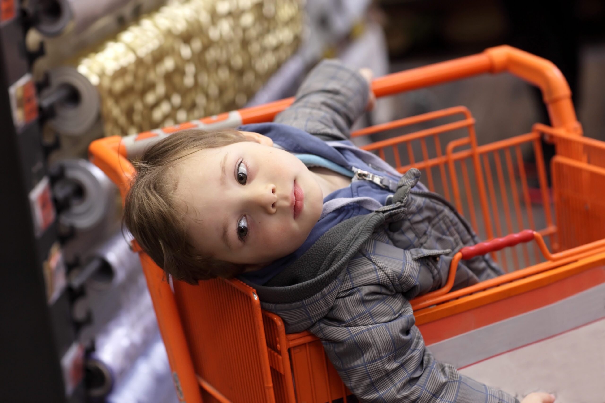 Boy in shopping trolley Boy in shopping trolley