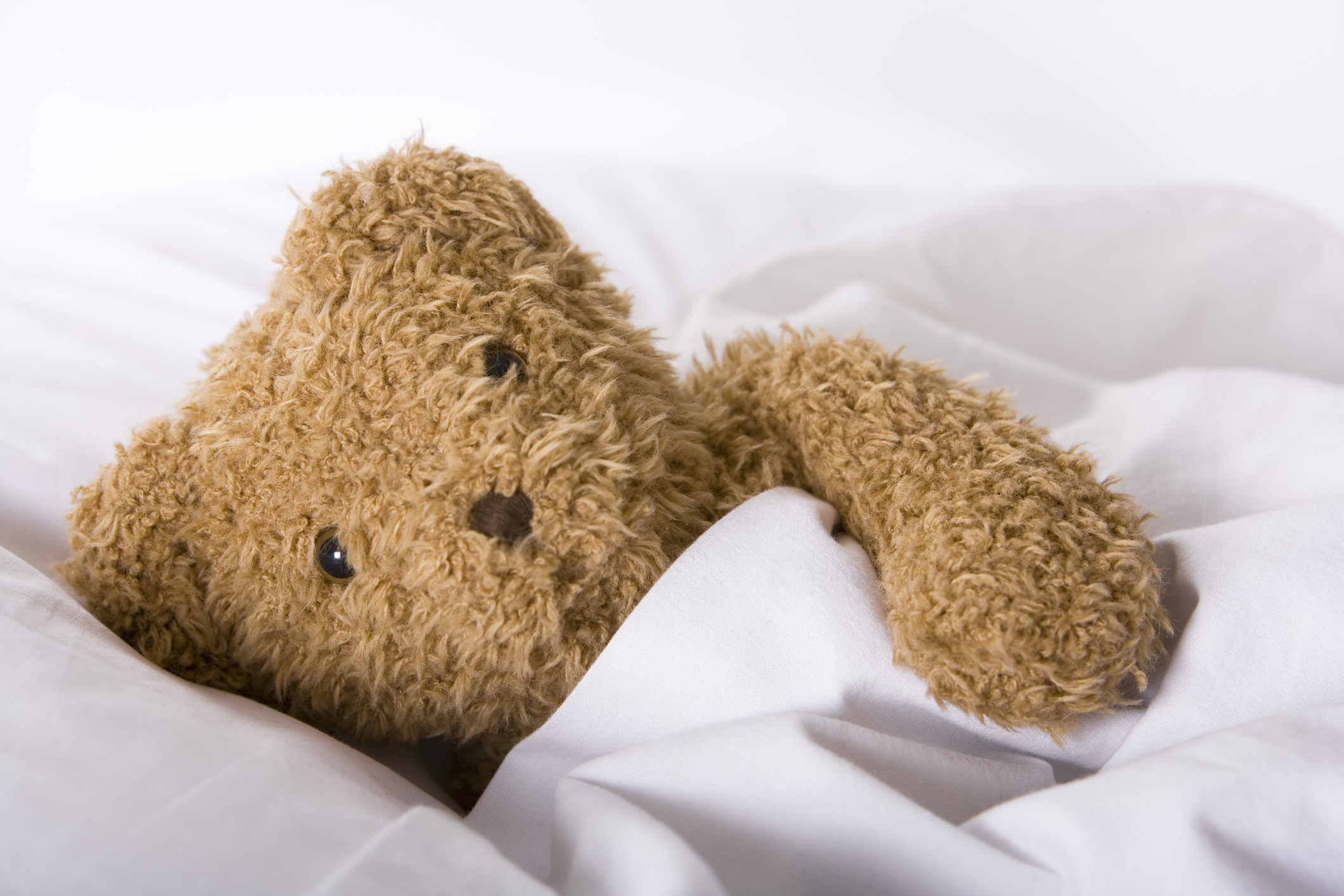 Teddy bear in covers